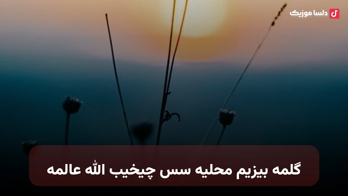 ترکی گلمه بیزیم محلیه سس چیخیب الله عالمه